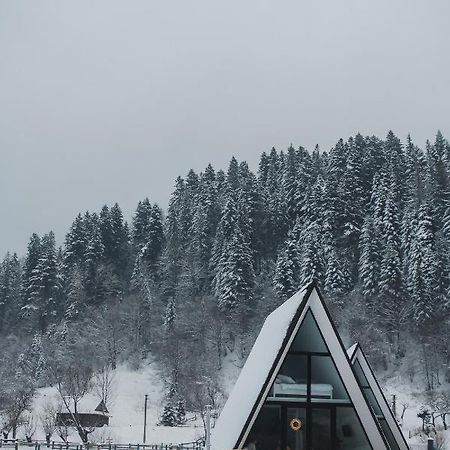 הוילה מיקוליצ'ין Mountains Hut מראה חיצוני תמונה